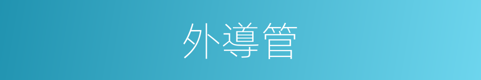 外導管的同義詞