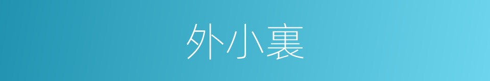 外小裏的同義詞