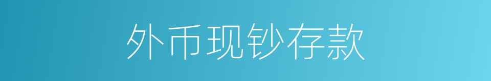 外币现钞存款的同义词