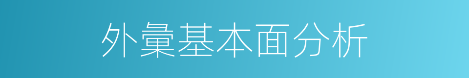 外彙基本面分析的同義詞