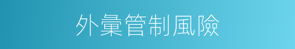 外彙管制風險的同義詞