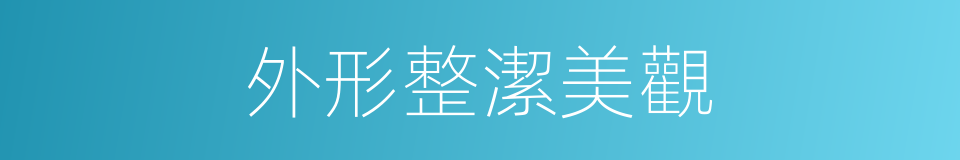 外形整潔美觀的同義詞