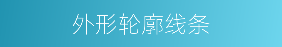外形轮廓线条的同义词