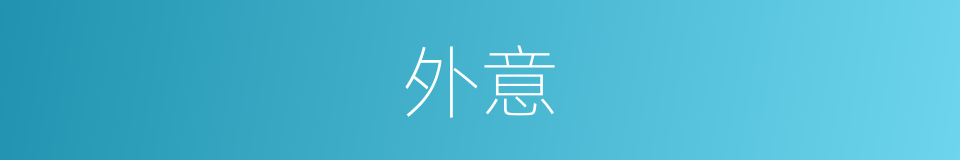 外意的意思
