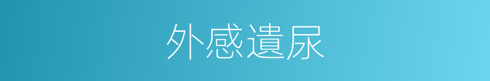 外感遺尿的意思