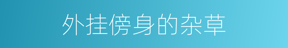外挂傍身的杂草的同义词