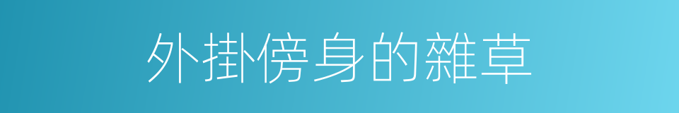 外掛傍身的雜草的同義詞
