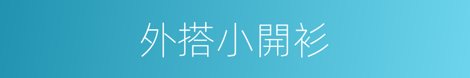 外搭小開衫的同義詞