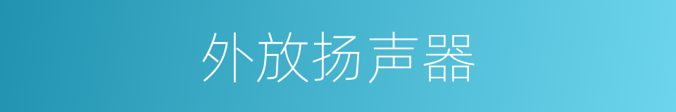 外放扬声器的同义词