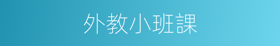 外教小班課的同義詞