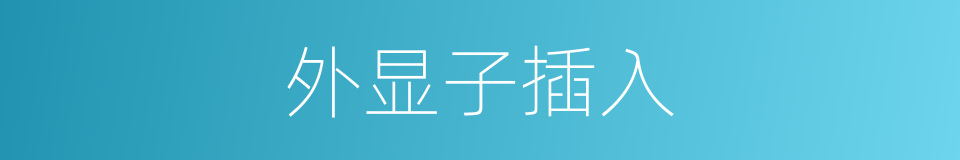 外显子插入的同义词
