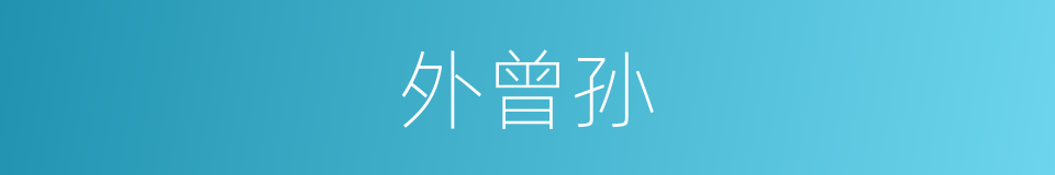 外曾孙的意思