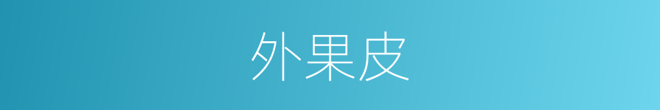 外果皮的同义词
