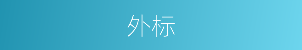 外标的同义词