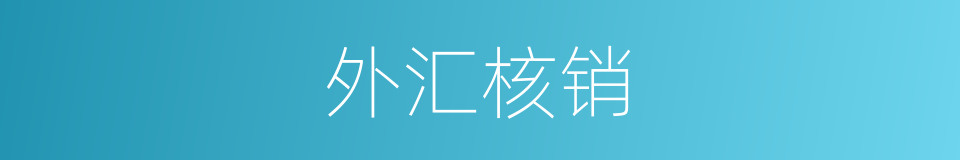 外汇核销的同义词