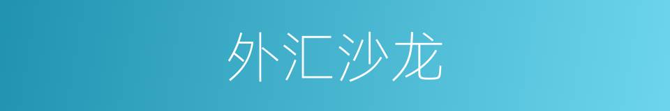 外汇沙龙的同义词