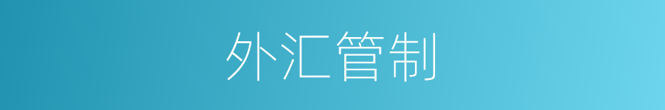 外汇管制的意思