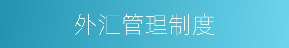 外汇管理制度的同义词