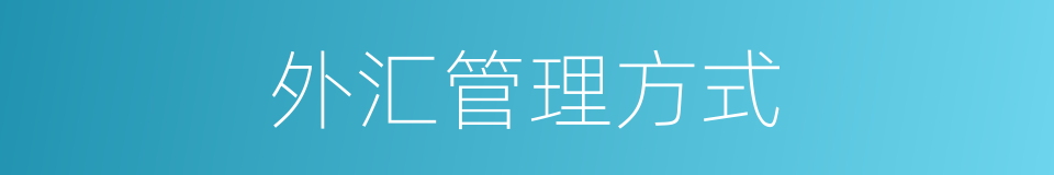 外汇管理方式的同义词
