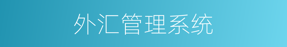 外汇管理系统的同义词