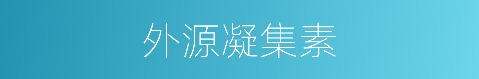 外源凝集素的同义词