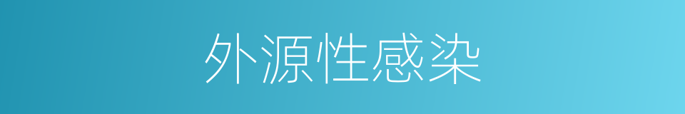 外源性感染的同义词
