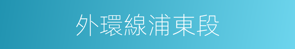 外環線浦東段的同義詞
