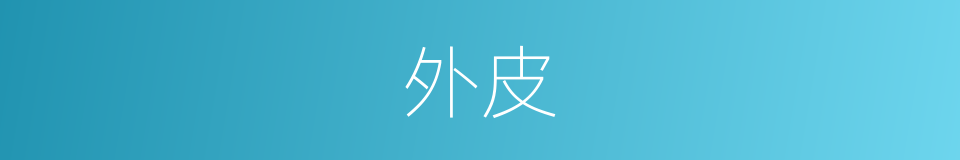 外皮的意思