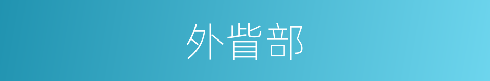 外眥部的同義詞