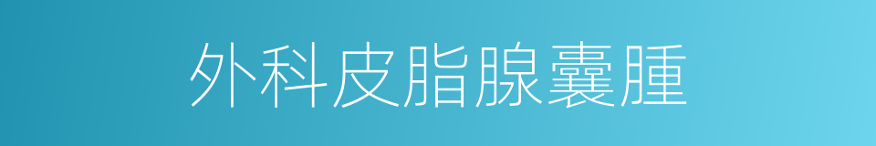 外科皮脂腺囊腫的同義詞