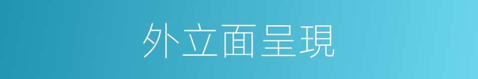 外立面呈現的同義詞