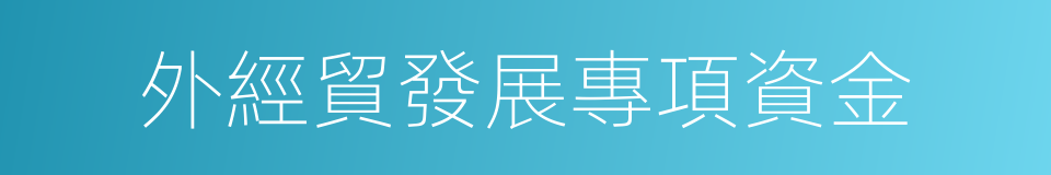 外經貿發展專項資金的同義詞