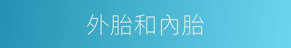 外胎和內胎的同義詞