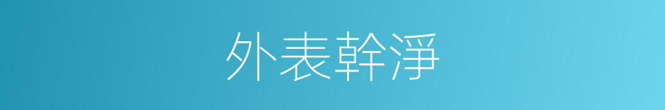 外表幹淨的同義詞