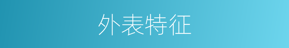 外表特征的同义词