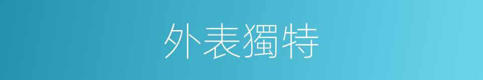 外表獨特的同義詞
