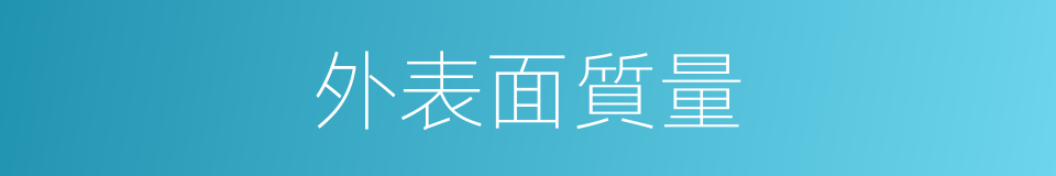 外表面質量的同義詞