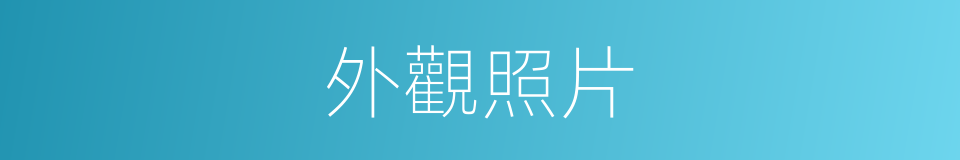 外觀照片的同義詞