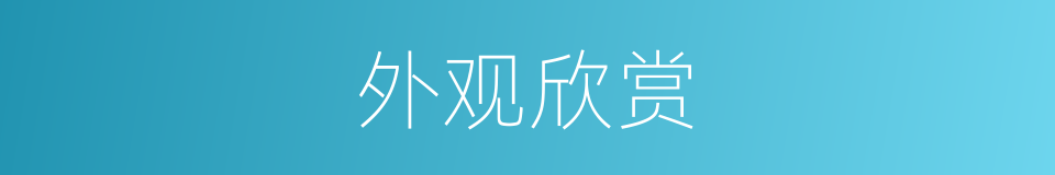 外观欣赏的同义词