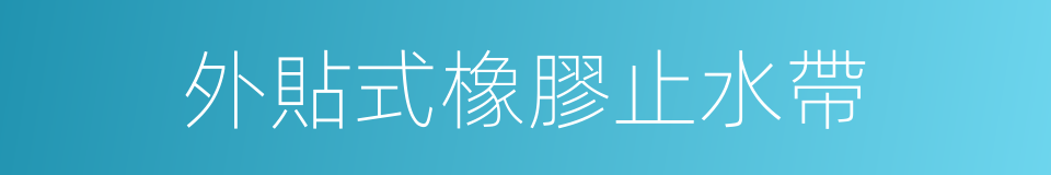外貼式橡膠止水帶的同義詞