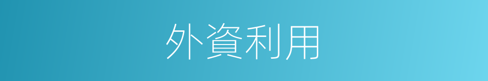 外資利用的同義詞