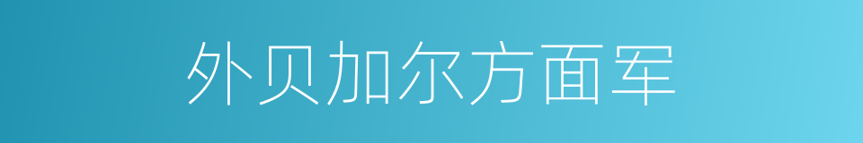 外贝加尔方面军的同义词