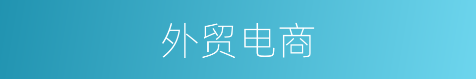 外贸电商的同义词