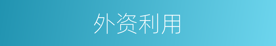 外资利用的同义词