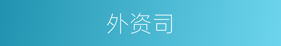 外资司的同义词