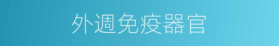 外週免疫器官的同義詞