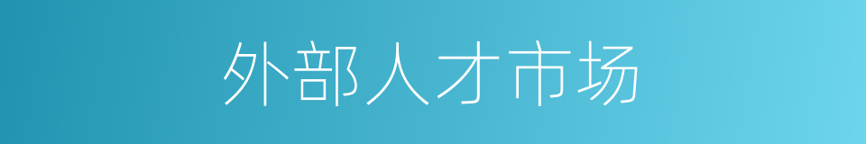 外部人才市场的同义词