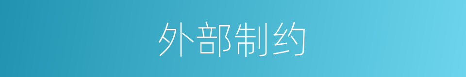 外部制约的同义词