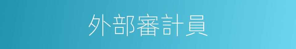 外部審計員的同義詞
