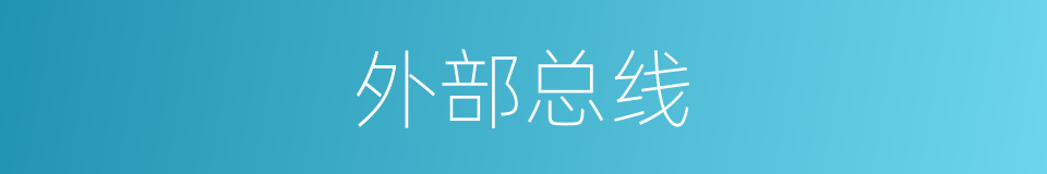 外部总线的同义词